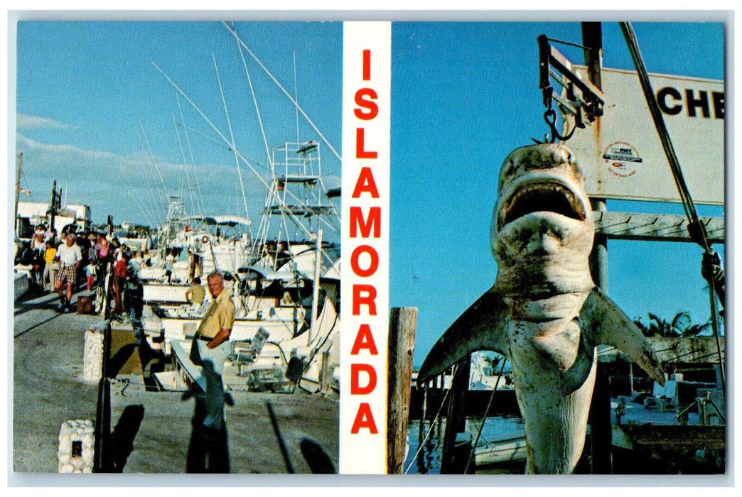 c1960's Big Fish in Islamorada,The Fabuluous Florida Keys Unposted Postcard