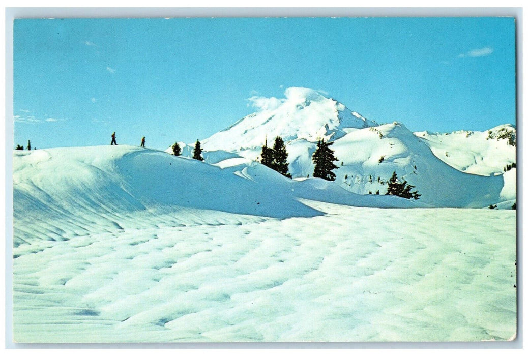 1963 Ski Area at Mount Baker From Artist's Point Deming Washington WA Postcard