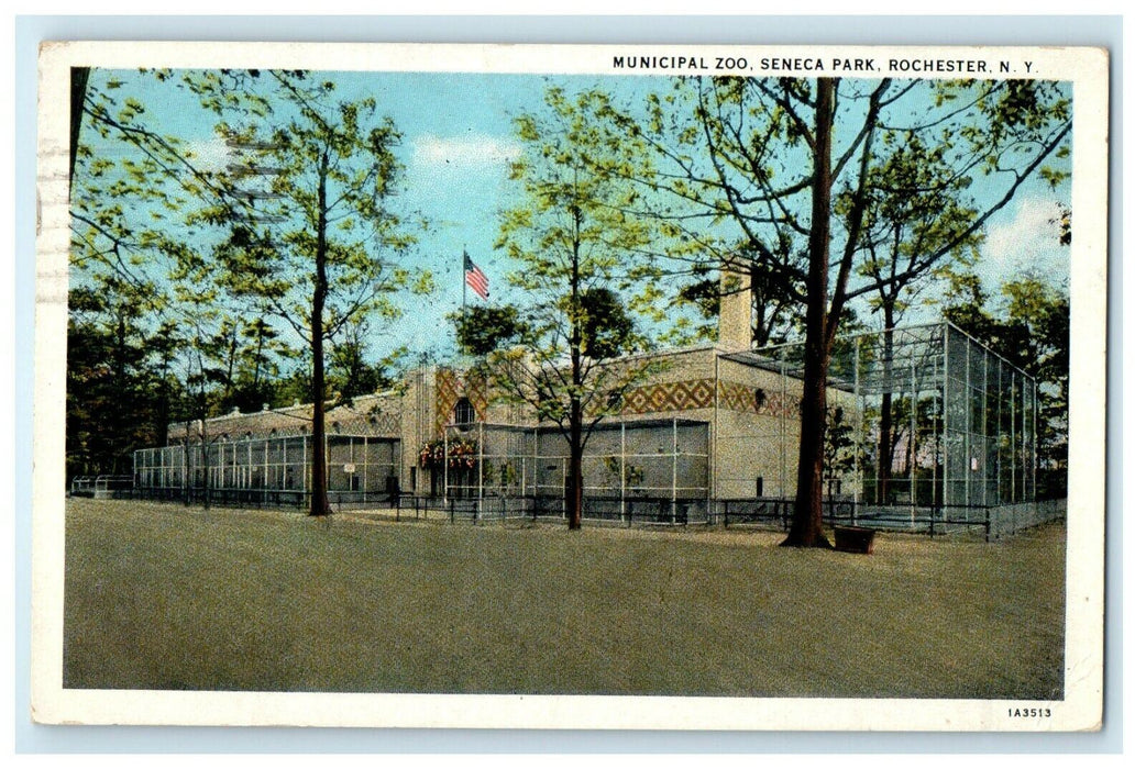 1933 Municipal Zoo Seneca Park Street View Rochester New York NY Postcard