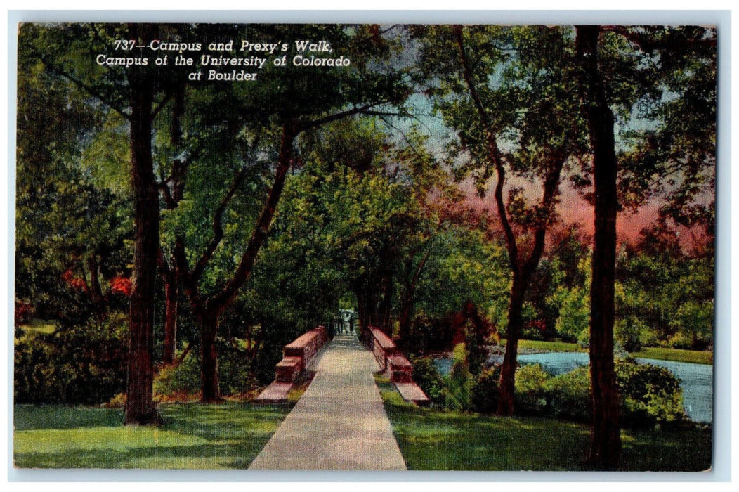 c1940's Campus and Prexy's Walk University of Colorado at Boulder CO Postcard