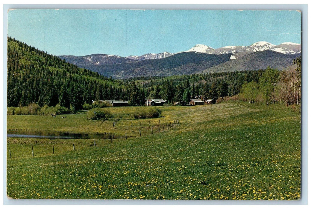c1950's The Green Valley of Cuchara River, Cuchara Colorado CO Postcard