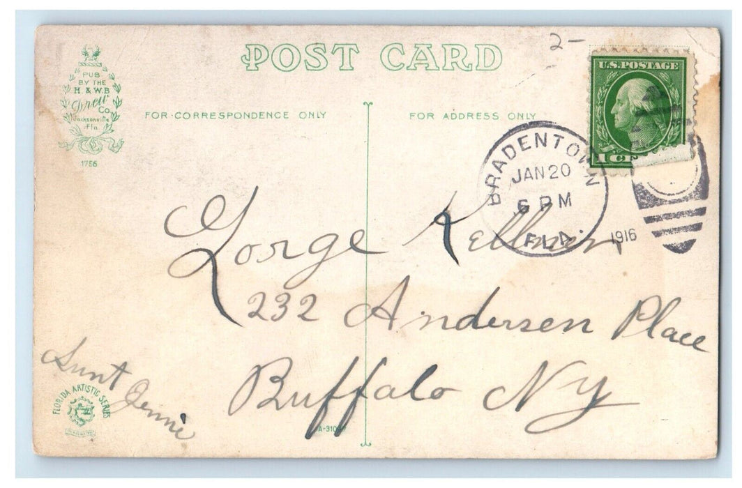 1916 Florida Water Fowl And Razor Back On A Florida River Bradenton FL Postcard