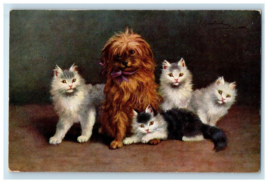 c1910 Long Haired Cats Kittens Dog Posing Unposted Antique Postcard