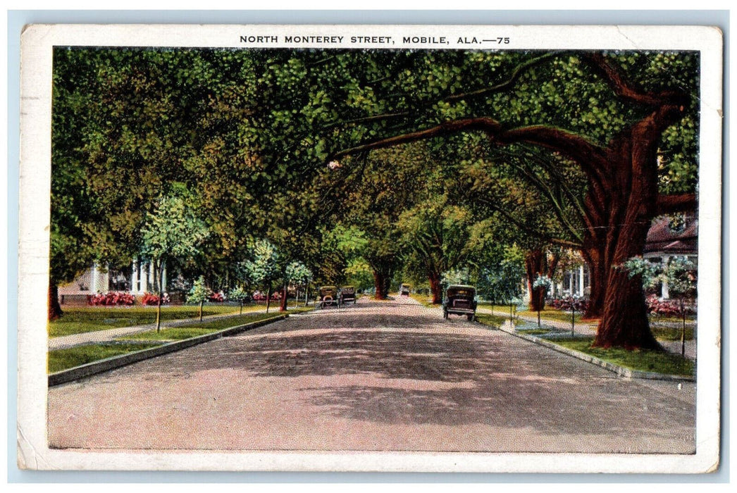 1930 Ancient Live Oaks North Monterey Street, Mobile Alabama AL Postcard