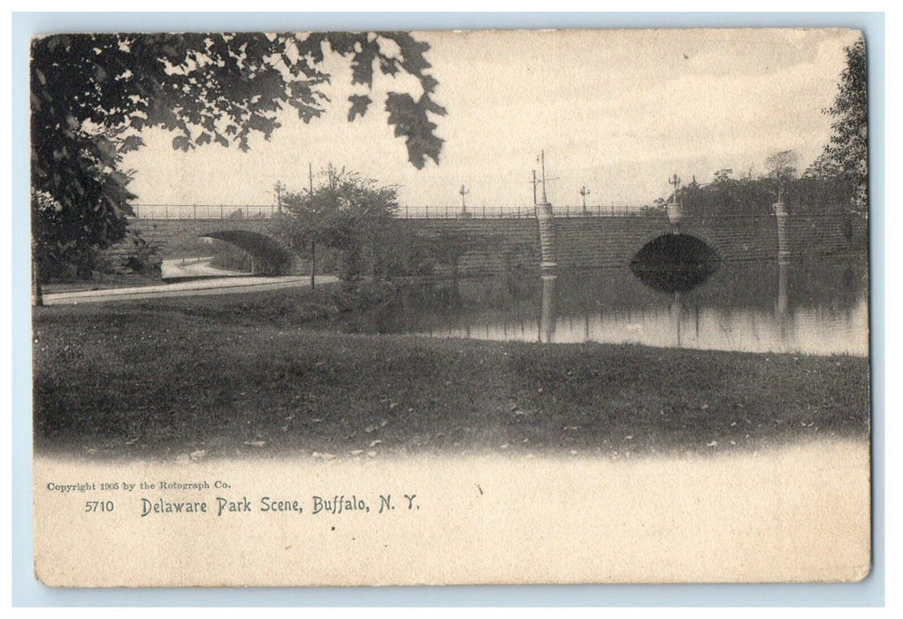 1909 View Of Delaware Park Scene Buffalo Osceola New York NY Antique Postcard