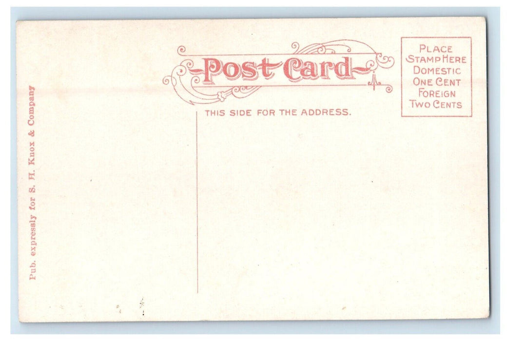 c1910's Interior Of St. Mary's Catholic Church Fort Wayne Indiana  IN Postcard