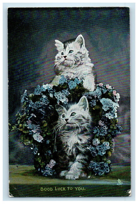 1907 Good Luck Two White Cute Kittens Cats Posing Tuck Postcard