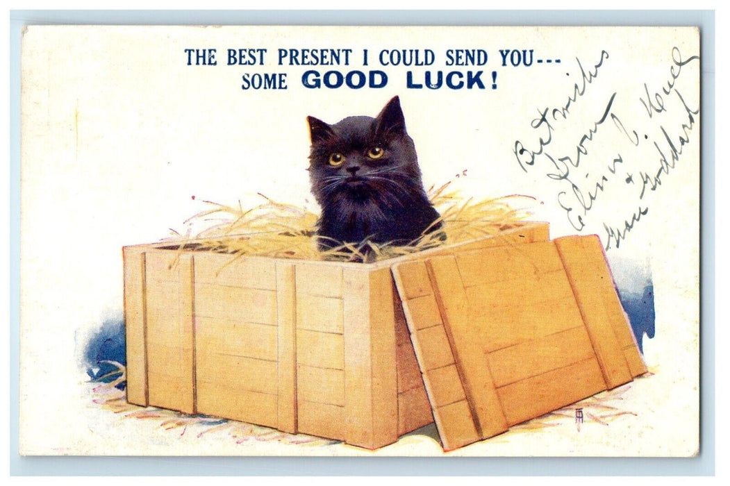1906 Cute Black Cat is Present in Box Bamforth Unposted Kitten Postcard