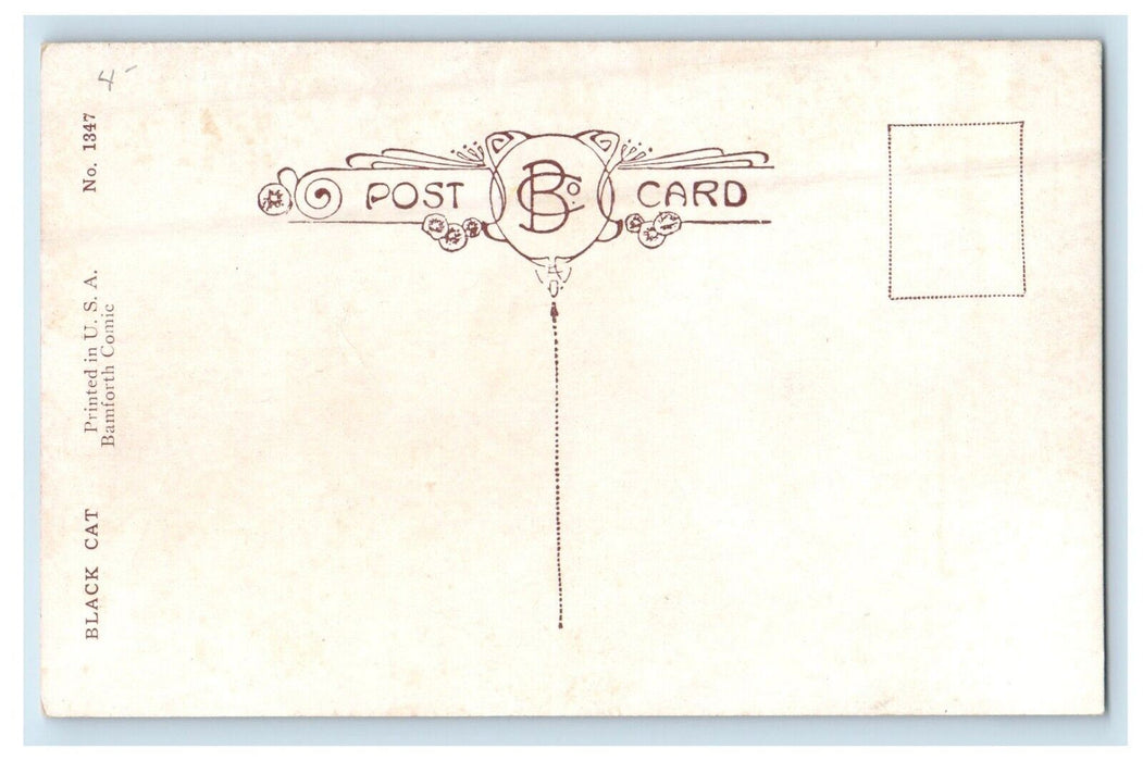 1906 Cute Black Cat is Present in Box Bamforth Unposted Kitten Postcard