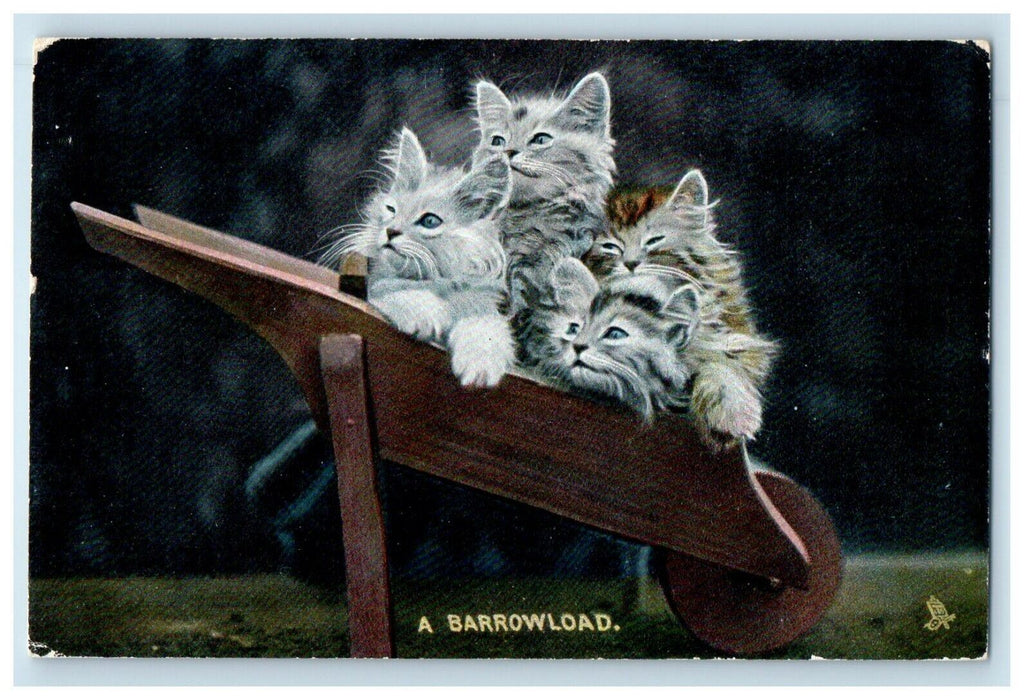 1907 Long Haired Cats Kittens White Barrowload Tuck Cork Cancel Postcard