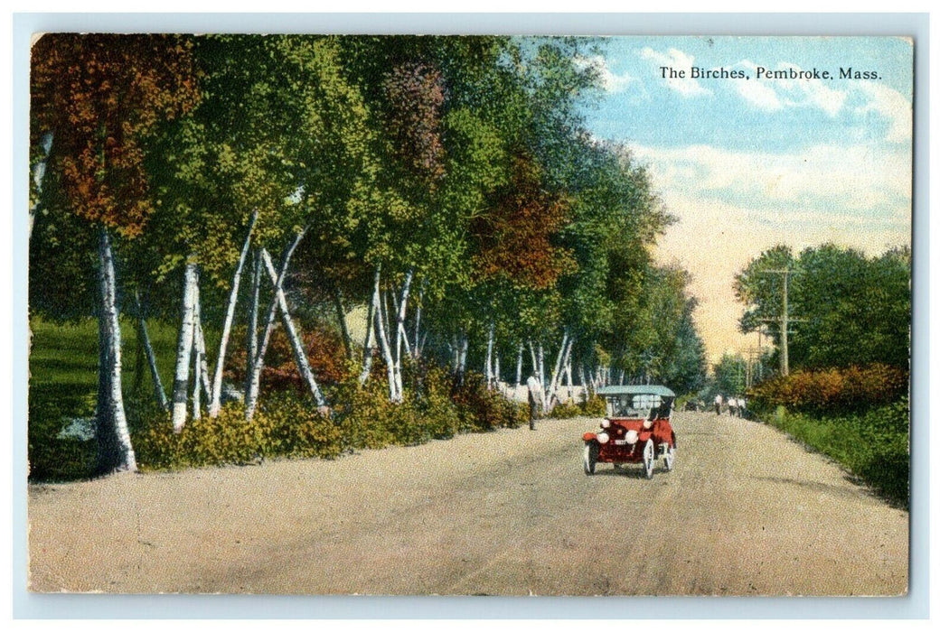 1919 View Of The Birches Car Scene Pembroke Massachusetts MA Antique Postcard