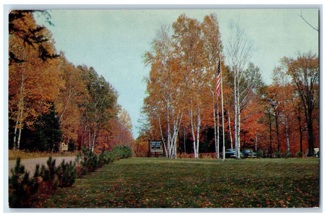 c1950s Beautiful Autumn Scene at Fishers Lake Reiner Resort Mercer WI Postcard