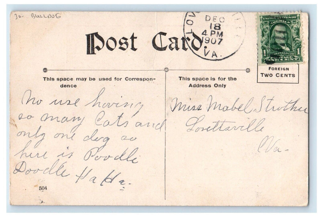 1907 Little Girl Terrified Peek A Boo Bulldog Animals Posted Antique Postcard