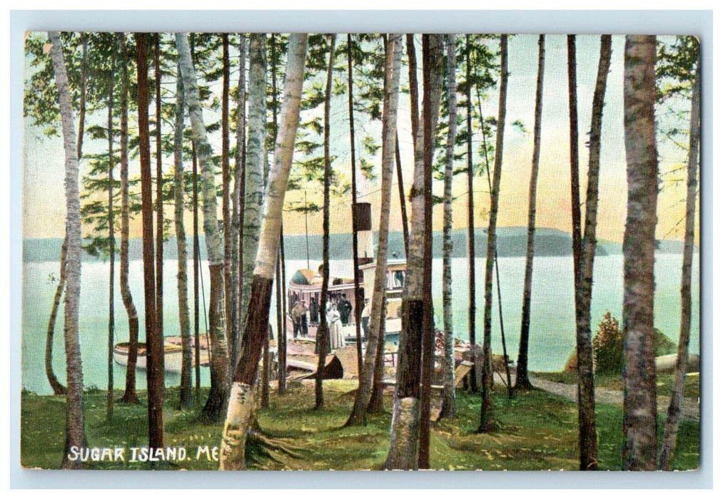 c1910 Birch Tree, Boat Scene, Sugar Island Maine ME Unposted Antique Postcard