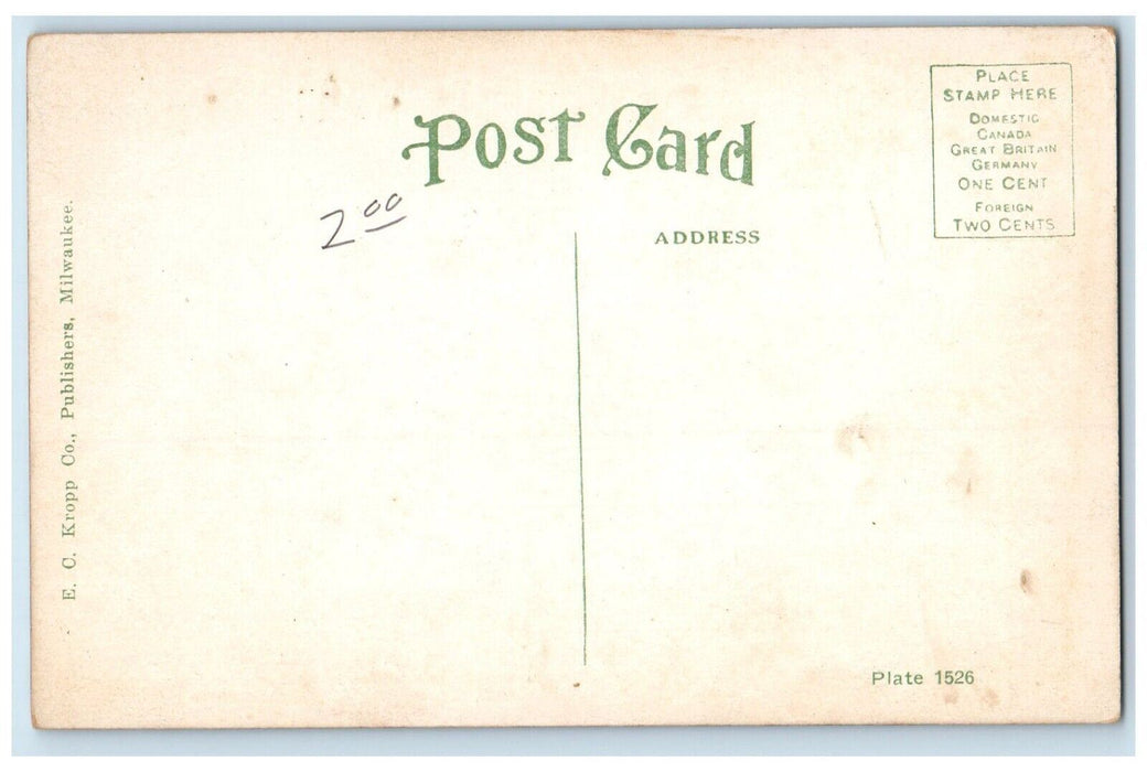 c1910 Late Arrival Glacier Winter Steamer Duluth Minnesota MN Vintage Postcard