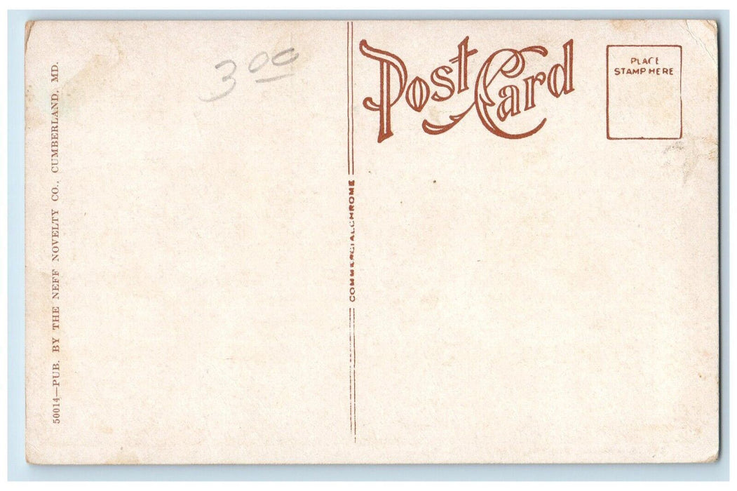 c1910 Roadside View State Normal School Frostburg Maryland MD Antique Postcard