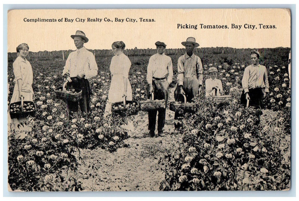 Picking Tomatoes Compliments Of Bay City Realty Co., Texas TX Antique Postcard