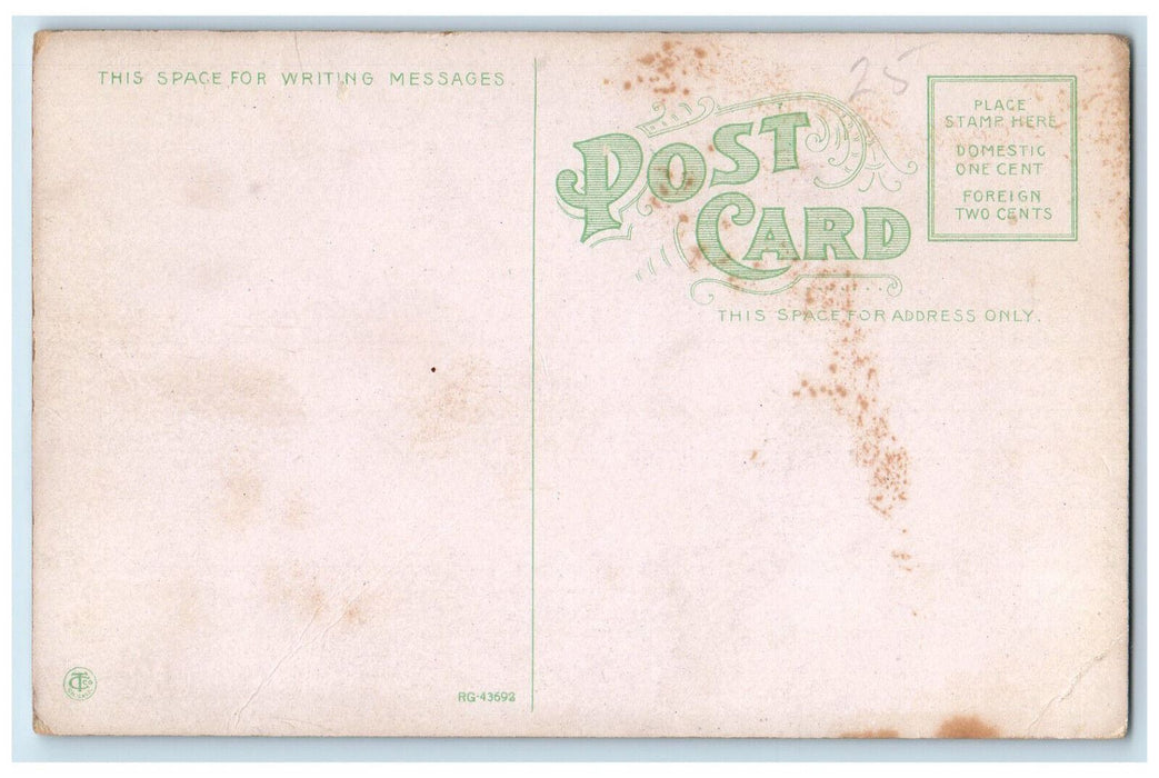 Picking Tomatoes Compliments Of Bay City Realty Co., Texas TX Antique Postcard