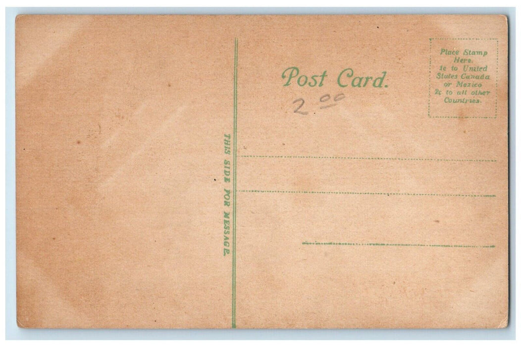 c1910 Overlooking Potomac Club Cumberland Maryland MD Antique Vintage Postcard