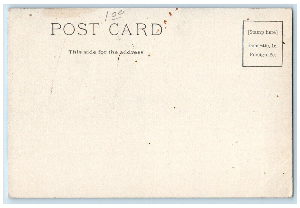 c1905 Cascade Park Field Trees Exterior Building Road Duluth Minnesota Postcard