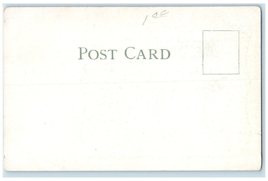 c1905 Coaching Party Boulevard Drive Horse Carriage Duluth Minnesota MN Postcard
