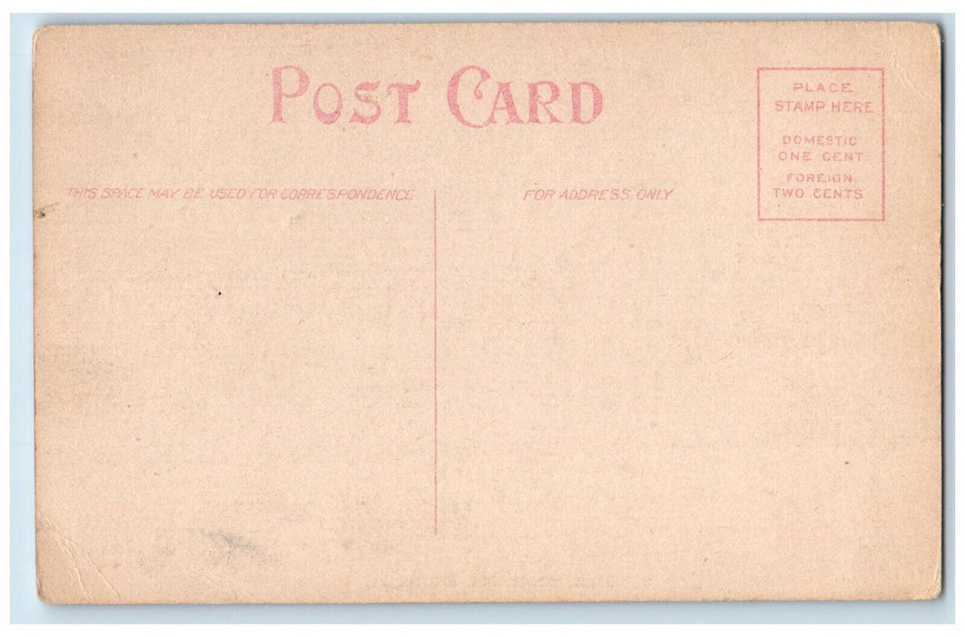 Main Street Stores Shops Scene Mt. Morris Illinois IL Antique Unposted Postcard