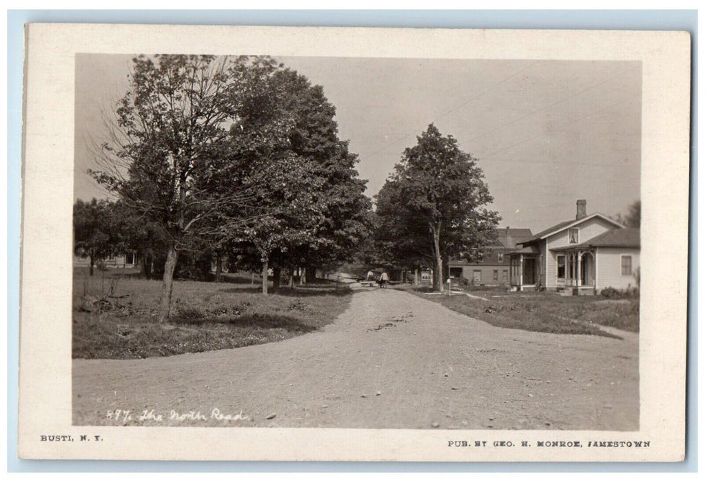 c1910 Busti New York North Road Scarce Chautauqua County NY RPPC Photo Postcard