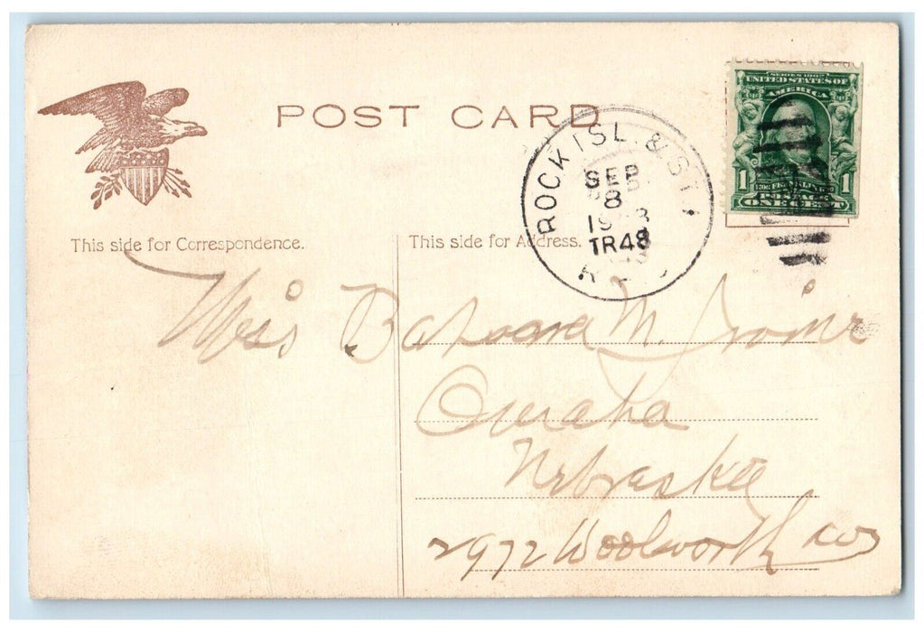 1908 View Of Grand Boulevard Horse And Buggy Chicago Illinois IL RPO Postcard