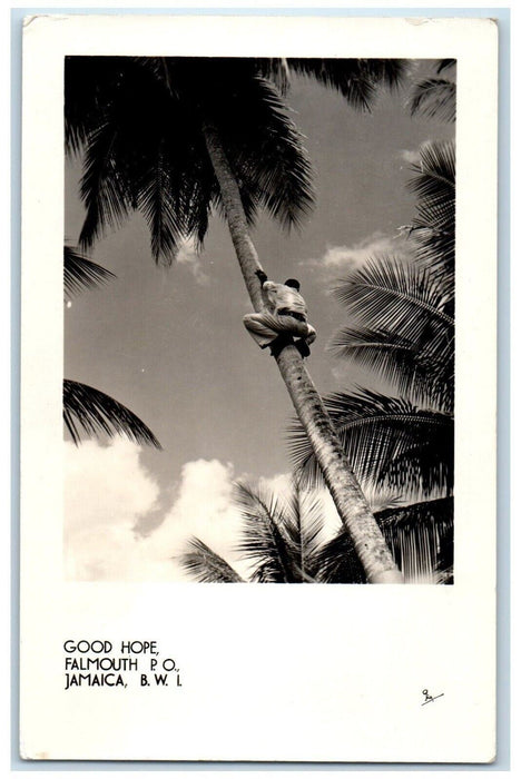 c1920's Good Hope Man Climbing Palm Tree Falmouth Jamaica RPPC Photo Postcard