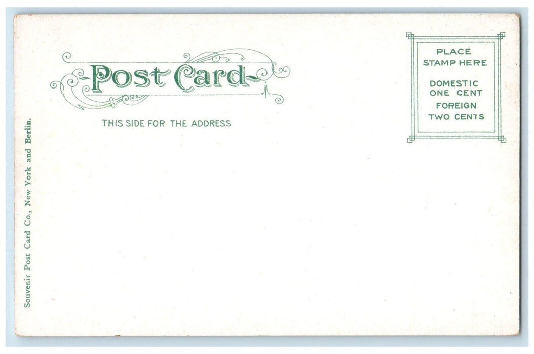 c1905 North Water Street Dirt Road Edgartown Massachusetts MA Antique Postcard