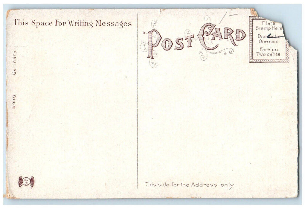 c1910's View Of The White City Worcester Massachusetts MA Antique Postcard