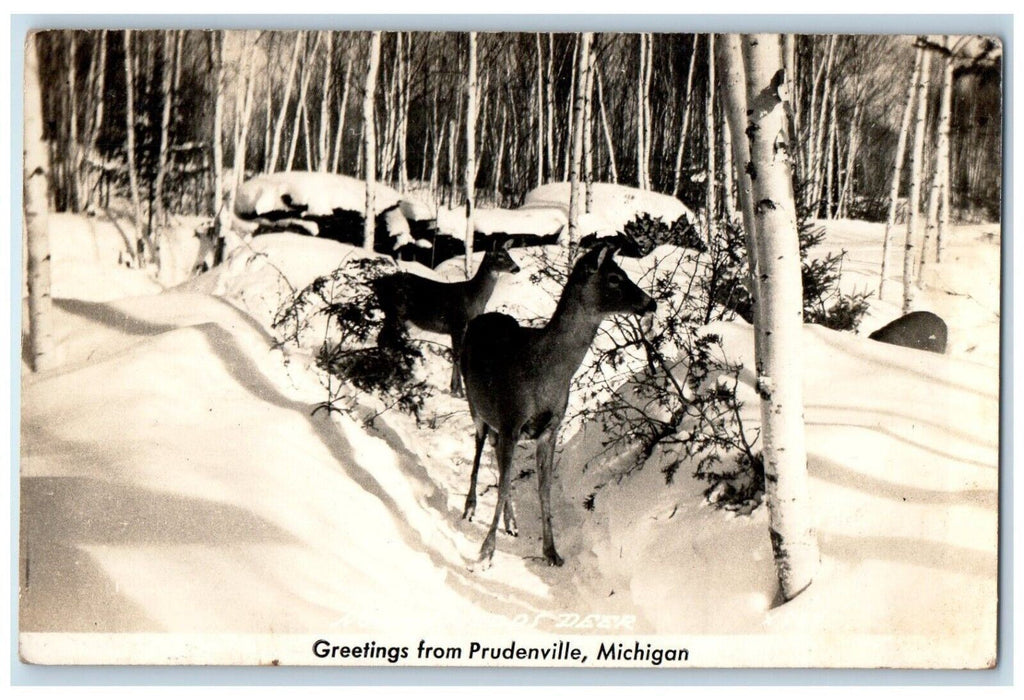 c1940's Greetings From Prudenville Deer Forest Michigan MI RPPC Photo Postcard