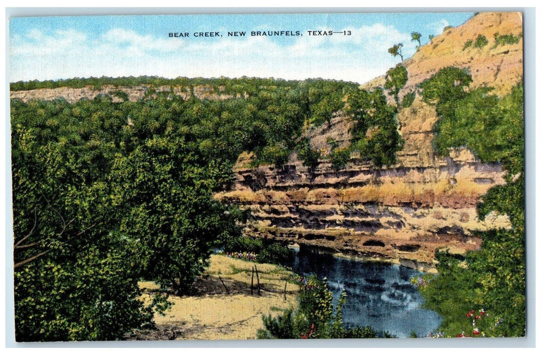 View Of Bear Creek New Braunfels Texas TX, Palms Plants Flowers Scene Postcard