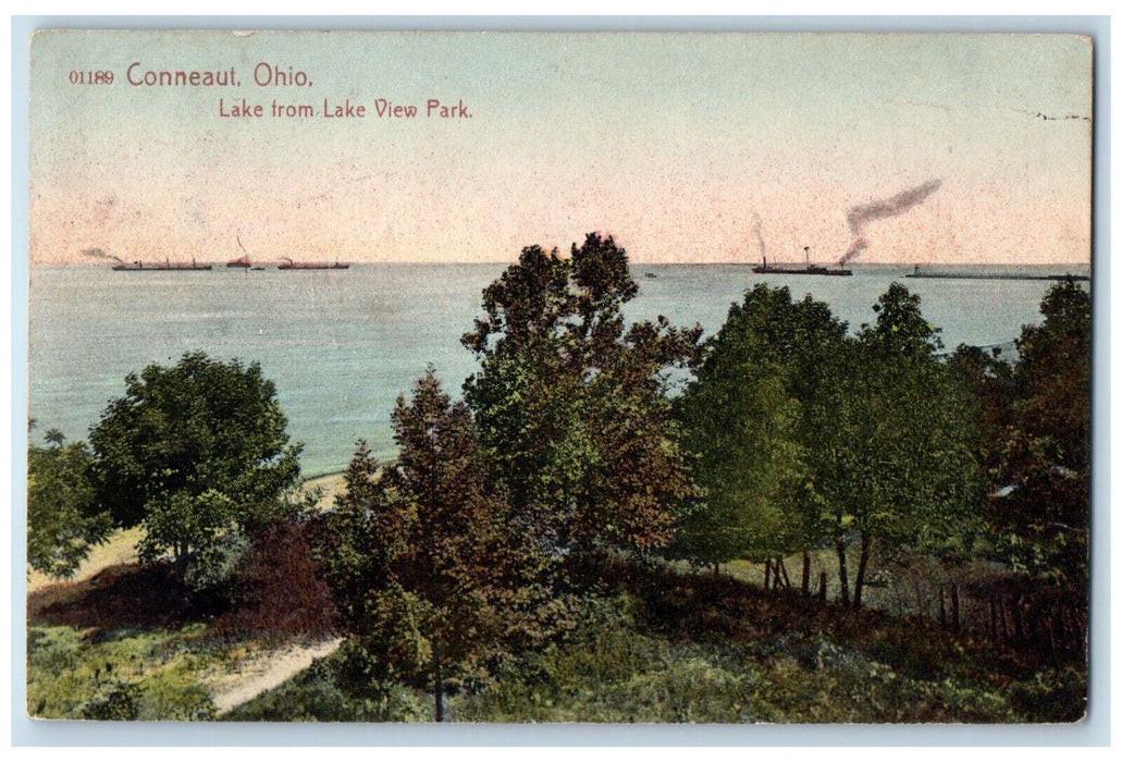 1908 Lake from Lake View Park Conneaut Ohio OH Sharon PA Antique Postcard