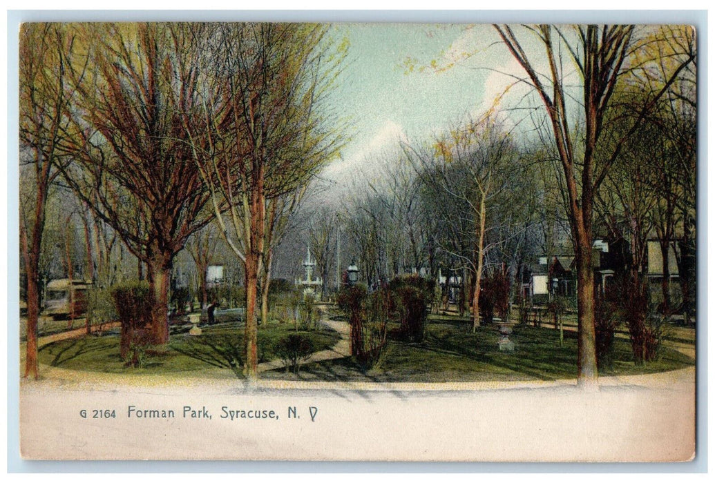 c1905 Forman Park Syracuse NY Rotograph Co. Antique Unposted Postcard