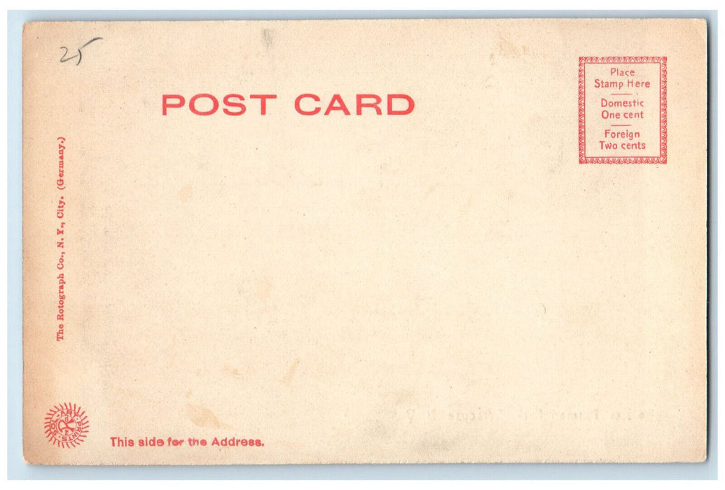 c1905 Forman Park Syracuse NY Rotograph Co. Antique Unposted Postcard