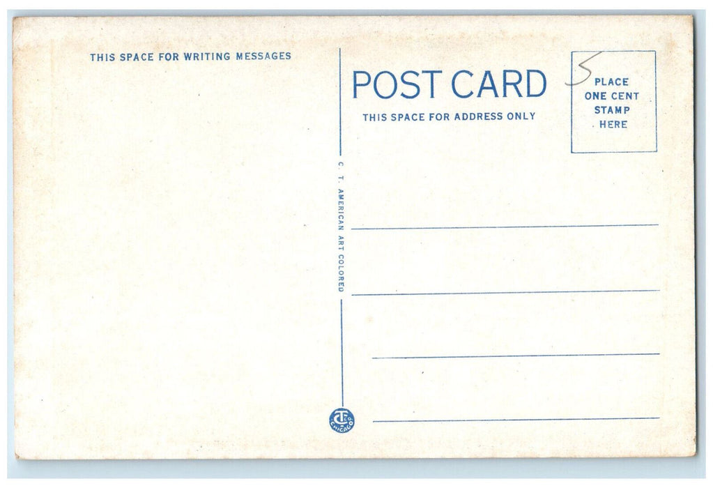 c1920's Pleasant Street Looking North New Bedford Massachusetts MA Postcard