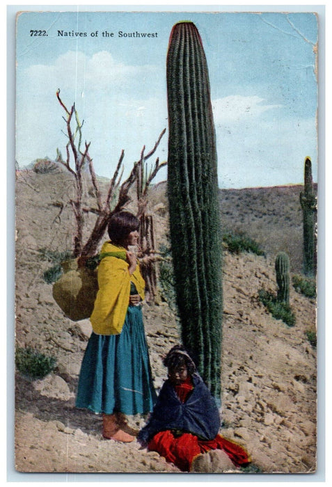 View Of The Indians Native Of The Southwest Antique Posted Postcard
