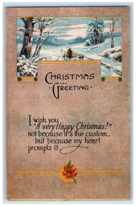 1917 Christmas Greeting Poinsettia Flower Winter Tucson Arizona AZ Postcard