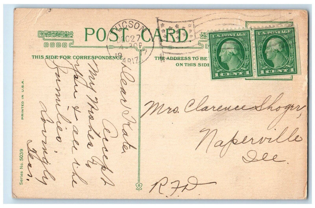 1917 Christmas Greeting Poinsettia Flower Winter Tucson Arizona AZ Postcard