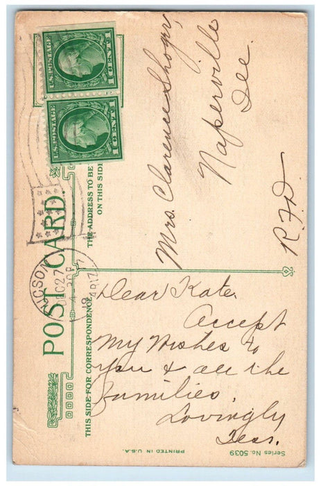 1917 Christmas Greeting Poinsettia Flower Winter Tucson Arizona AZ Postcard
