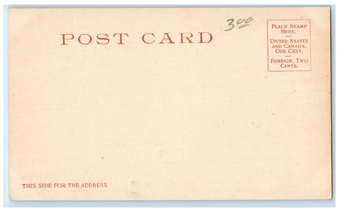 Baby Brothers In Exile Native American Indian Indigenous Kids Antique Postcard