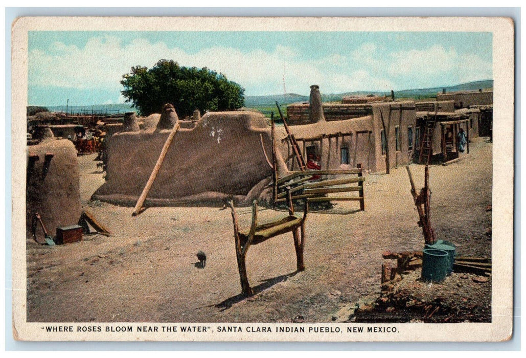 Where Roses Bloom Near The Water Santa Clara Indian Pueblo NM Vintage Postcard
