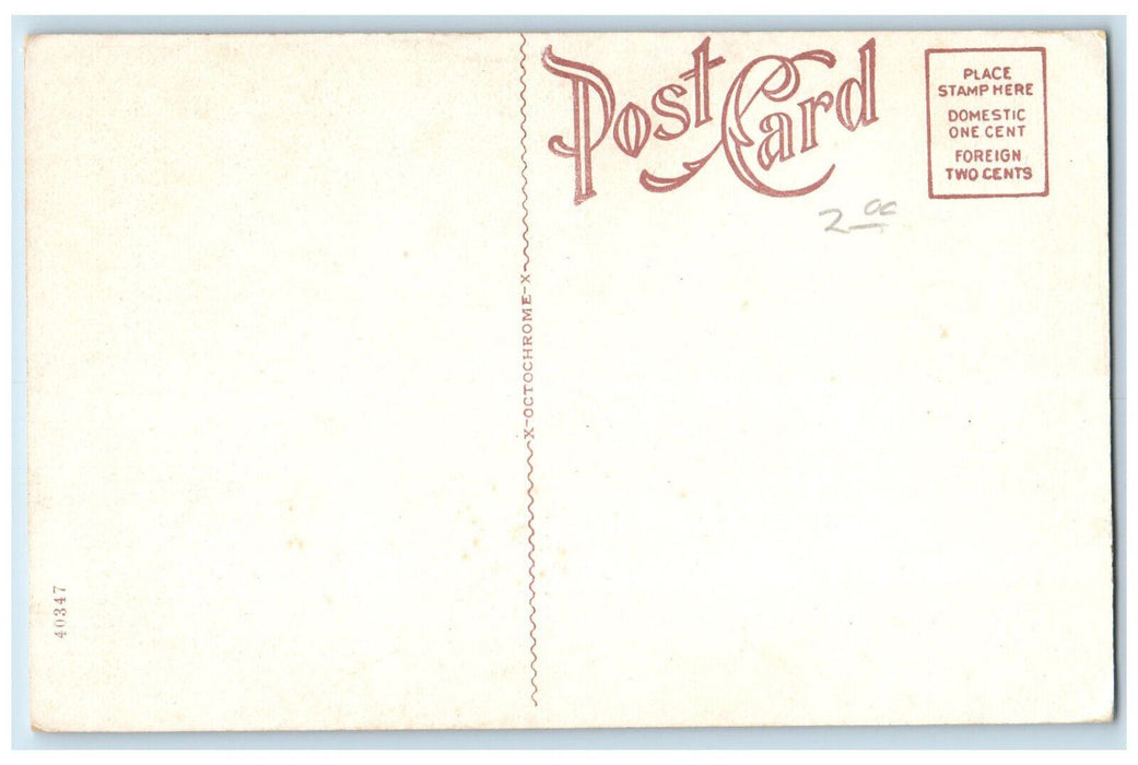 Pioneer Telephone Building Cars Street View Tulsa Oklahoma OK Antique Postcard