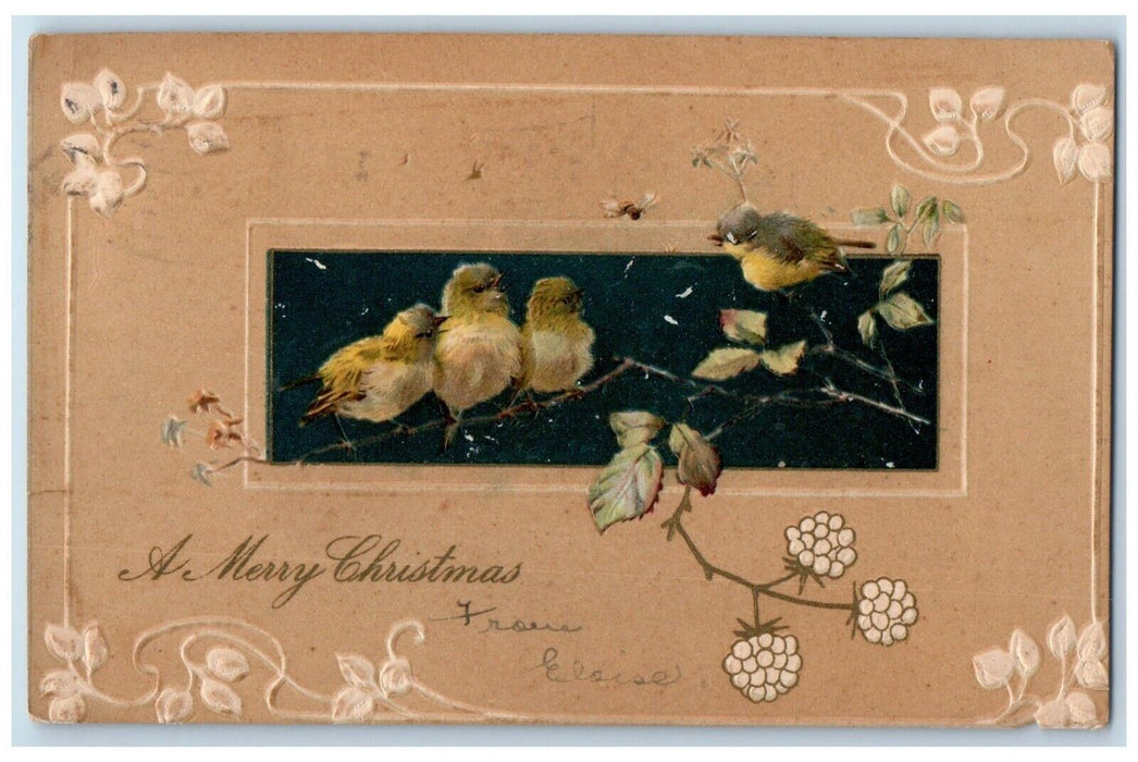1908 Christmas Song Birds Flowers Embossed Nash Northampton MA Antique Postcard