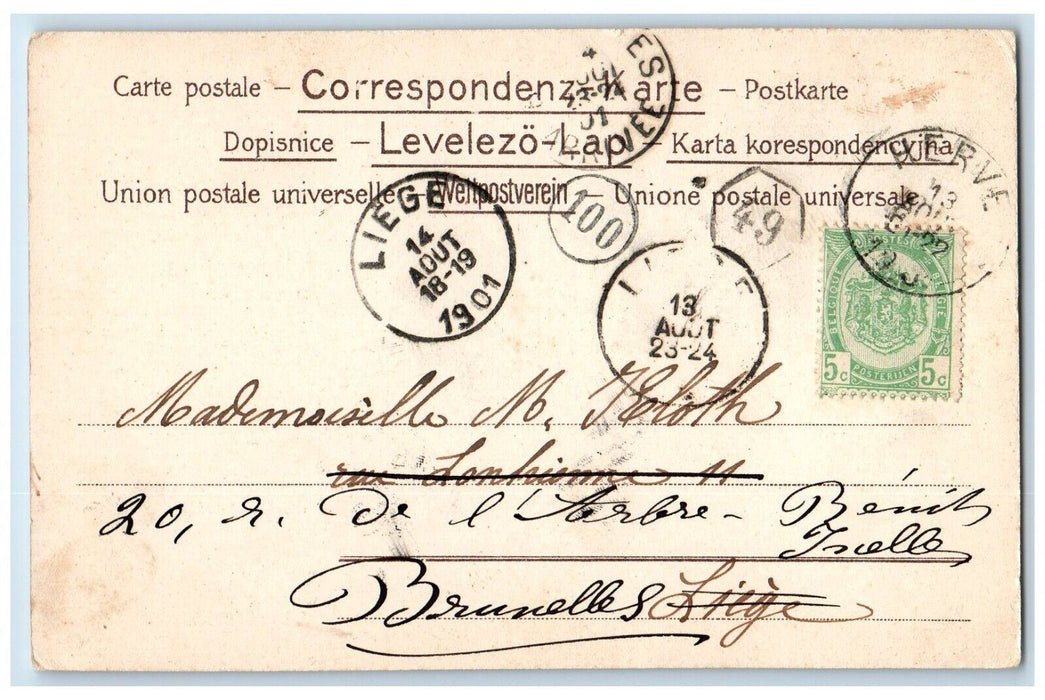 1901 Pretty Woman Big Hat Feather With Flowers Basket Liege Belgium Postcard