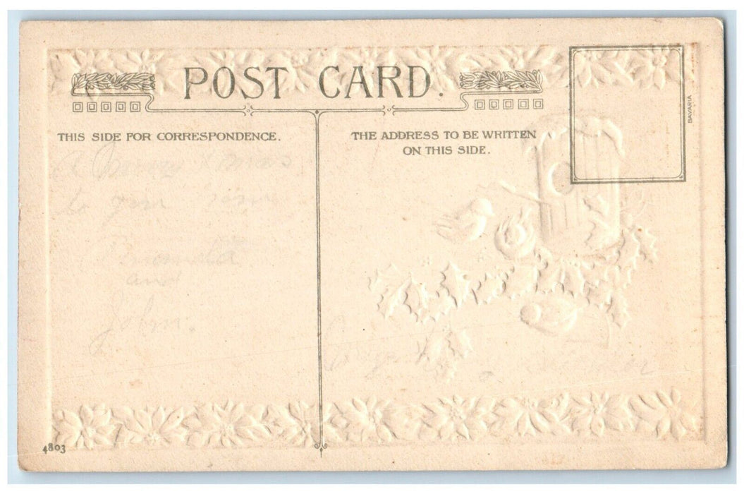 c1910's Christmas Birds House Winter Holly Berries Embossed Antique Postcard