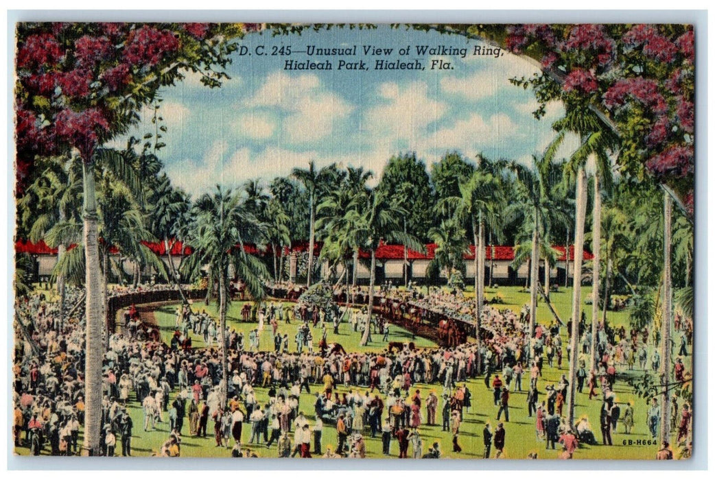 Unusual View Of Walking Ring Hialeah Park Garden Trees Florida FL Postcard