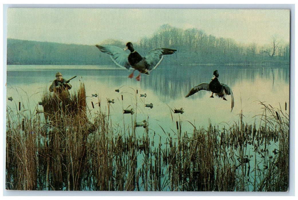 North Carolina's Outer Banks Migratory Wild Fowl Duck Hunter Scene Postcard