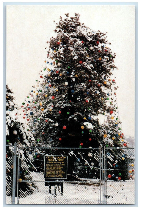 c1950 Cecil County Holly Tree Winter Snow Christmas Decor Perryville MD Postcard